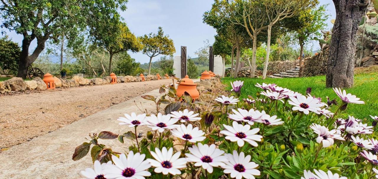Agroturismo Can Marquet - Adults Only Santa Gertrudis  Ngoại thất bức ảnh